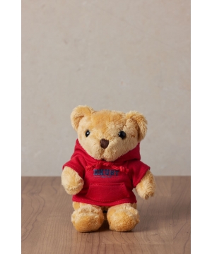 HKUST Mini Bear Keychain - Hoodie